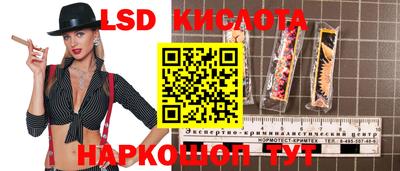 мяу мяу мука Краснознаменск
