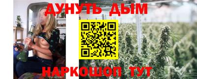 прущие крисы Шахты