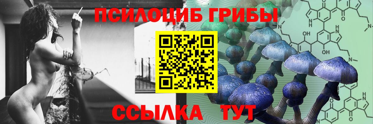 Галлюциногенные грибы Psilocybe  купить  сайты  Кизляр  Вход с VPN 