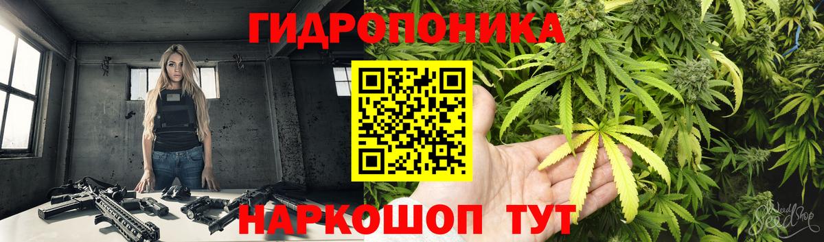 Кизляр  Шишки марихуана ГИДРОПОН  Вход с VPN  Канабис планчик  Шишки марихуана THC 21%  Каннабис планчик 